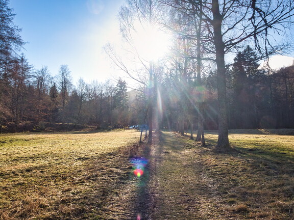 20220205202124-cb27950a